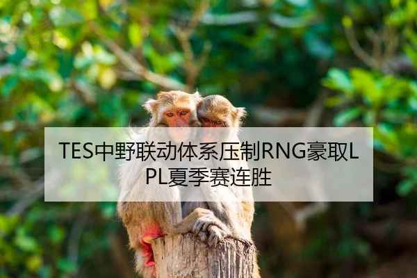 TES中野联动体系压制RNG豪取LPL夏季赛连胜