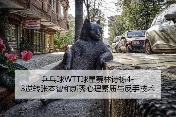 ping-pang-qiu-qiu-xing-sai-lin-shi-dong-ni-zhuan-zhang-ben-zhi-he-xin-xiu-xin-li-su-zhi-yu-fan-shou-ji-shu-2-242.jpg